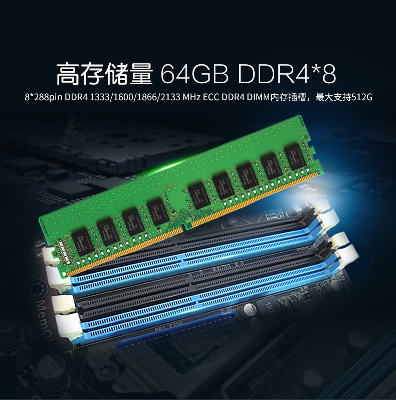 東田機架式服務器,至強E系列CPU主機,DT-910-SX10DRL.jpg