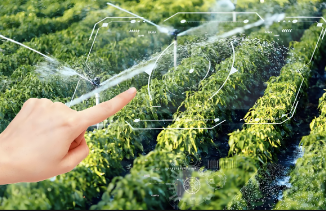 智慧農業新紀元：工控機引領農業科技革命
